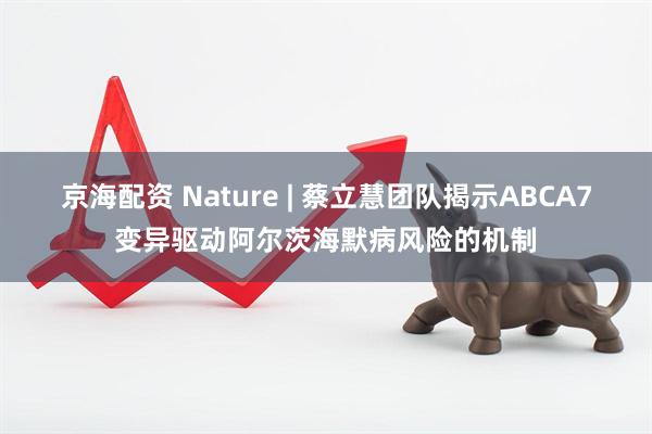 京海配资 Nature | 蔡立慧团队揭示ABCA7变异驱动阿尔茨海默病风险的机制
