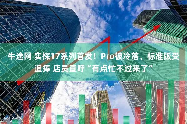 牛途网 实探17系列首发！Pro被冷落、标准版受追捧 店员直呼“有点忙不过来了”
