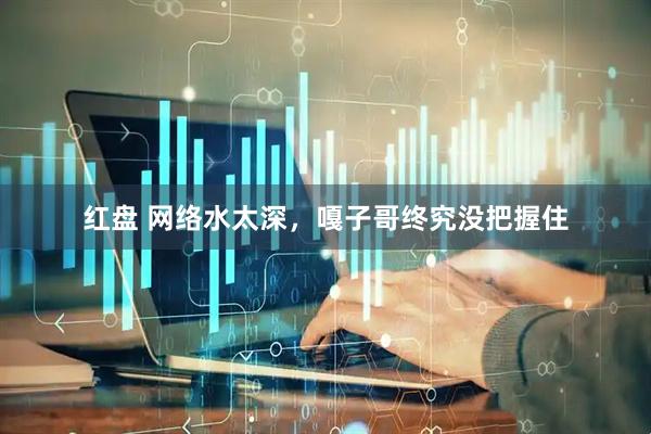 红盘 网络水太深，嘎子哥终究没把握住