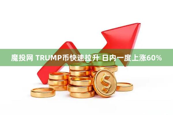 魔投网 TRUMP币快速拉升 日内一度上涨60%
