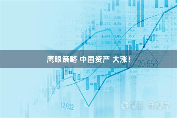 鹰眼策略 中国资产 大涨！