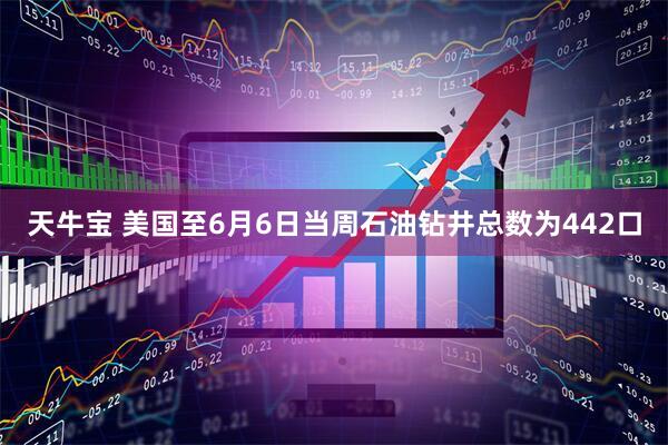 天牛宝 美国至6月6日当周石油钻井总数为442口