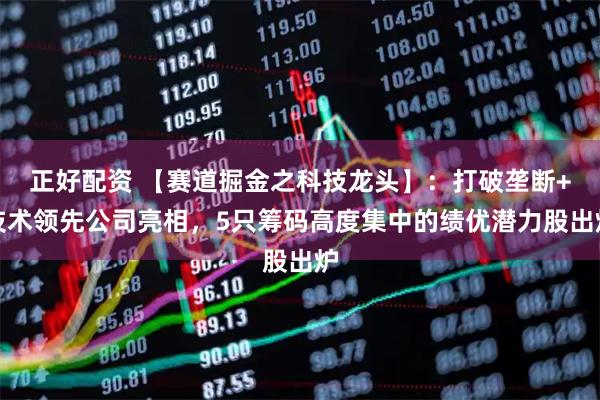 正好配资 【赛道掘金之科技龙头】：打破垄断+技术领先公司亮相，5只筹码高度集中的绩优潜力股出炉
